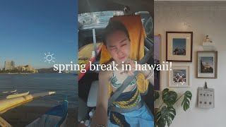 spring break in hawaii  surfing cafes food work and more [upl. by Nnylesor324]