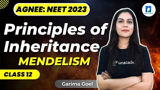 Mendelism  Principles of Inheritance  Class 12  NEET 2023  Biology  Garima Goel [upl. by Doreg]