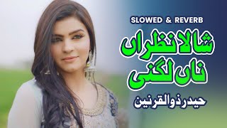 Shala Nazran Na Lagni Slowed amp Reverb  Haider Zulqarnain  TikTok Trending  Jiven Shala Mahi [upl. by Etiam]