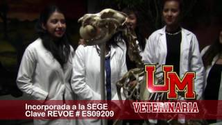 Licenciatura en Medicina Veterinaria y Zootecnia Universidad de Matehuala [upl. by Simmons579]