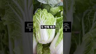 간 건강에 좋은 음식 BEST5 간 간해독 건강정보 [upl. by Claiborne]