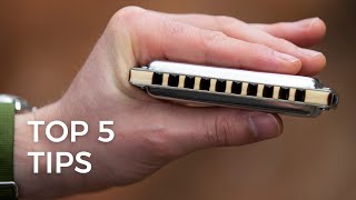 The First FIVE Things Beginner Blues Harmonica Players MUST Learn [upl. by Refynnej689]