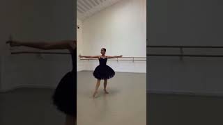 gamzatti variation TringParkSchool ballet ballerina [upl. by Eesak]