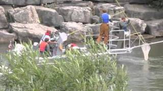 Electrofishing Credit River Lake Ontario Canada TRCA Boat [upl. by Ardnuahsal]