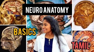 neuroanatomy basics in tamil medical essential CNSPNS brain [upl. by Erline]