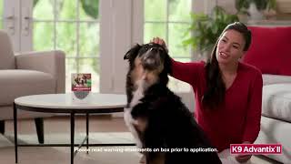 How to Apply K9 Advantix II to your dogs [upl. by Tertius]