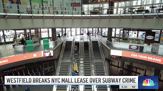 Westfield mall seeks to end World Trade Center lease over homelessness and crime  NBC New York [upl. by Putscher672]