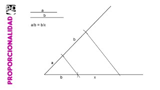Hallar el segmento tercero proporcional a otros dos ab  bx Proporcionalidad [upl. by Olocin421]