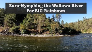 Beautiful Rainbow Trout Caught Euronymphing The Wallowa River In Eastern Oregon [upl. by Celestia372]