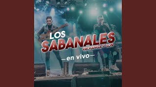 Los Sabanales En Vivo [upl. by Block834]