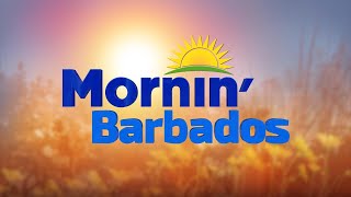 Mornin Barbados  November 15 2024 [upl. by Fee]