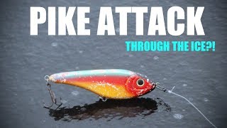 Pike Attacks Lure Through the Ice  UNBELIEVABLE [upl. by Jurdi]