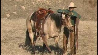 SOLD Bucks Smokin Style quotDenny quot 2004 AQHA Buckskin gelding for sale [upl. by Ruomyes]