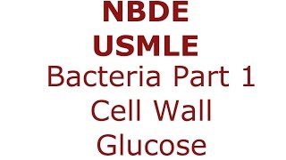 Bacteria Gram  vs Gram  Cell Wall  Glucose Metabolism NBDE amp USMLE [upl. by Haizek]