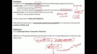 biochemistry vitamins pantothenic acid فيتامين بايوكيميستري [upl. by Owades349]