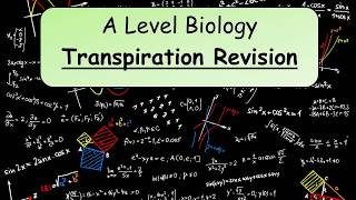 A Level Biology Transpiration revision [upl. by Ellersick200]