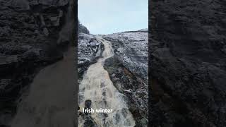 Winter is here 191124 wicklow ireland irishnature [upl. by Anawak]