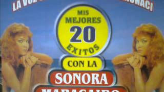 SOMOS DIFERENTES  LA SONORA MARACAIBO [upl. by Ahsimak]