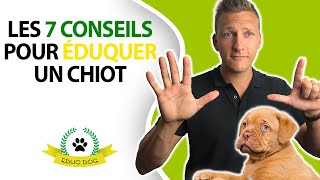 ✅ Education du chiot  7 conseils pour éduquer votre chiot [upl. by Nohsad]