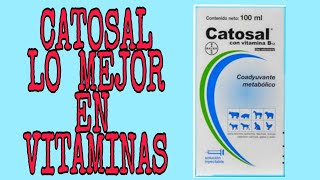 CATOSAL lo mejor en VITAMINAS [upl. by Reniti]