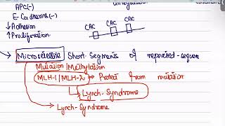 Colorectal Carcinoma from first aid step 1USMLEUrduHindi [upl. by Aisemaj]