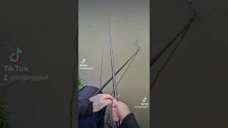 Pole Fishing in the margins at Springvale [upl. by On]