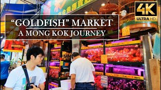 Discovering Hong Kongs quotGoldfish Marketquot 金魚街 in Mong Kok 旺角 4K HDR  HK4K [upl. by Lesig]