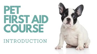 FREE PET FIRST AID COURSE TAUGHT BY EMERGENCY VET  INTRODUCTION [upl. by Ahsatam]