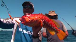 Perth Fishing TV Episode 3  Jigging vs Baits [upl. by Naic462]