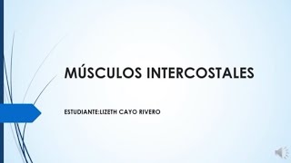 MÚSCULOS INTERCOSTALES [upl. by Merralee]