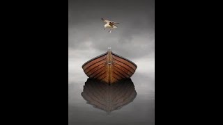 The Lonesome Boatman by Finbar Furey [upl. by Liw]