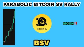 BSV COIN PARABOLIC RALLY IN DECEMBER 2023‼️ BITCOIN SV NEXT TARGETS‼️ BSV CRYPTO IS WAKING UP [upl. by Lanna]