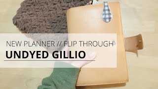 NEW GILLIO UNDYED AMICA  planner flipthrough  setup [upl. by Kuska]