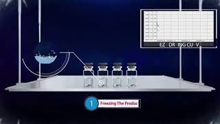 Tofflon Lyophilization [upl. by Mamoun]