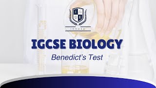 Benedicts Test Practical Video  by Innovative Education [upl. by Felipe352]