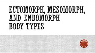 Ectomorph Mesomorph and Endomorph Body Types [upl. by Justinn]