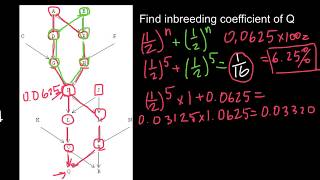 How to Solve Advanced Inbreeding Problems [upl. by Sammer]