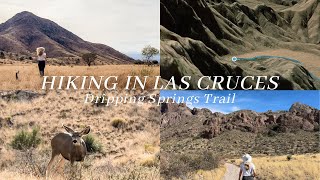 A HIKE YOU CANT MISS IN LAS CRUCES New Mexico  The DRIPPING SPRINGS TRAIL  Organ Mountains [upl. by Rehsu237]