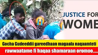 Gocha Gudeeddii gareedhaan magaala naqaamteti rawwaatame fi haqaa shamaraan oromoo [upl. by Marala]