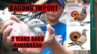 MAY BAGO TAYONG IMPORT [upl. by Shiekh]