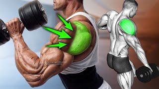 6 Best Rear Delt Exercise BOULDER SHOULDERS [upl. by Ahsenac624]