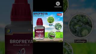 Broflanilide 20 SC  Brofreya PI industries  Insecticide insecticide pesticide pi viralvideo [upl. by Atinahc339]