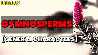 Gymnosperms  General characteristics  Biology  Educational info [upl. by Weinshienk575]