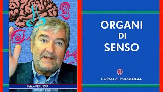 Organi di Senso  Prima Lezione di Base completa – Fondamenti di Psicologia amp Psicotecnica [upl. by Sokim]