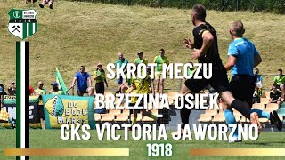 Brzezina Osiek  GKS Victoria Jaworzno skrót meczu [upl. by Eceeryt]