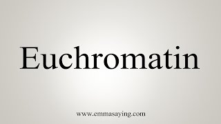 How To Say Euchromatin [upl. by Agiaf]