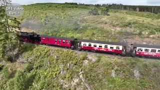 Waldsterben im Harz [upl. by Halik483]