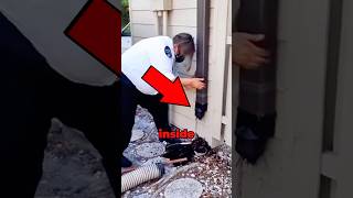 Animal Rescued From Pipe 😱 [upl. by Cassiani]