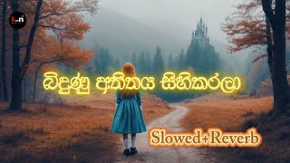 Bidunu atheethaya sihikarala  බිදුණු අතිතය සිහිකරලා SlowedReverb [upl. by Roderigo]