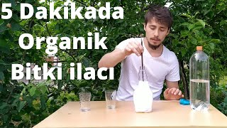 BİBER BİTKİSİNE UYGULAMAYIN Bitkiler İçin Doğal Böcek İlacı Nasıl Yapılır [upl. by Solly245]